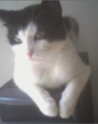 Picture for Full Life Reading package